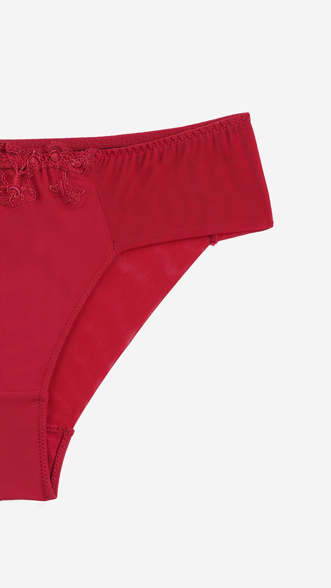 Red Lace Sheer Panel Classic Brief
