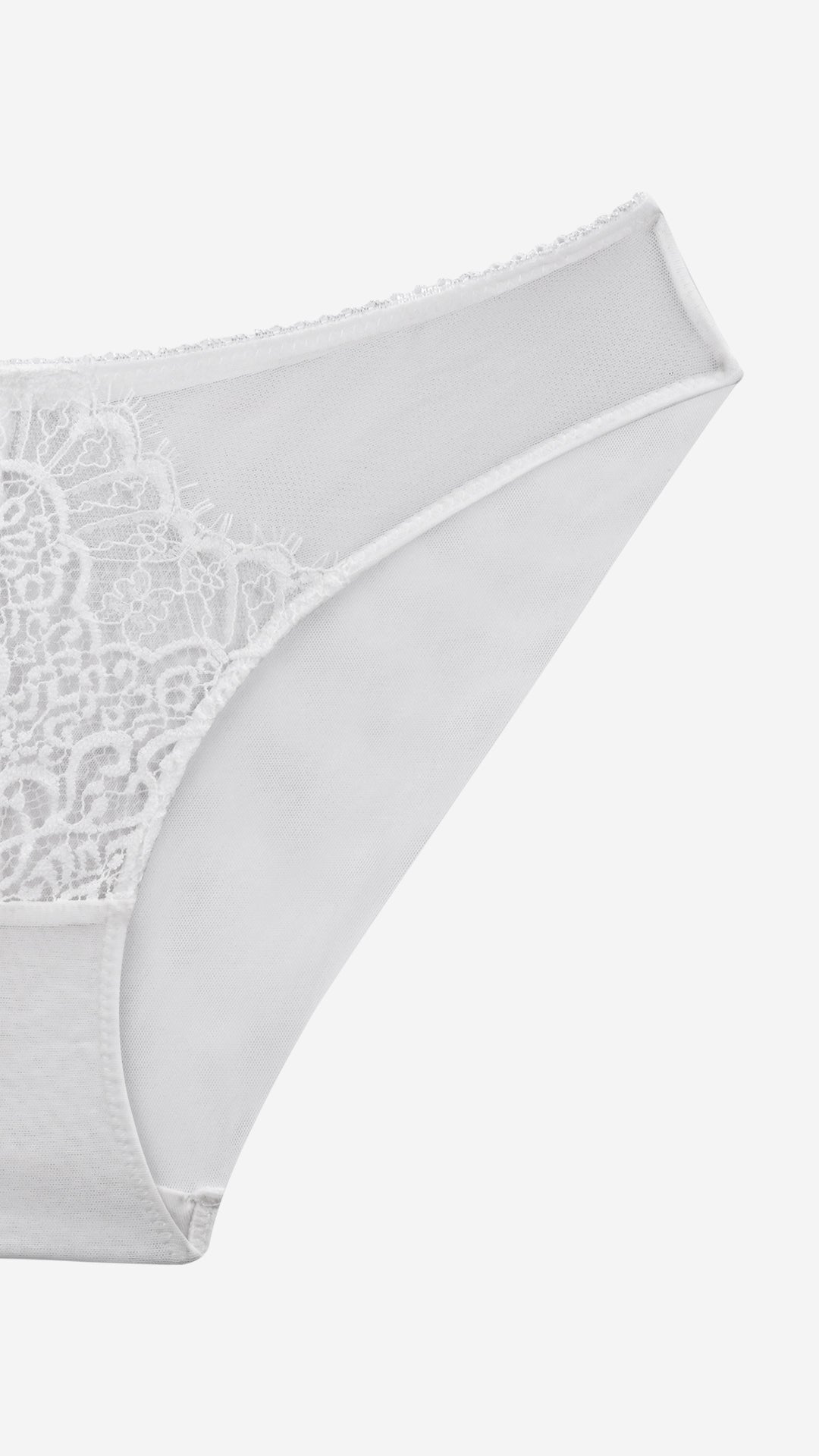Sheer Mesh Lace Medallion Brief | Bridal Panty