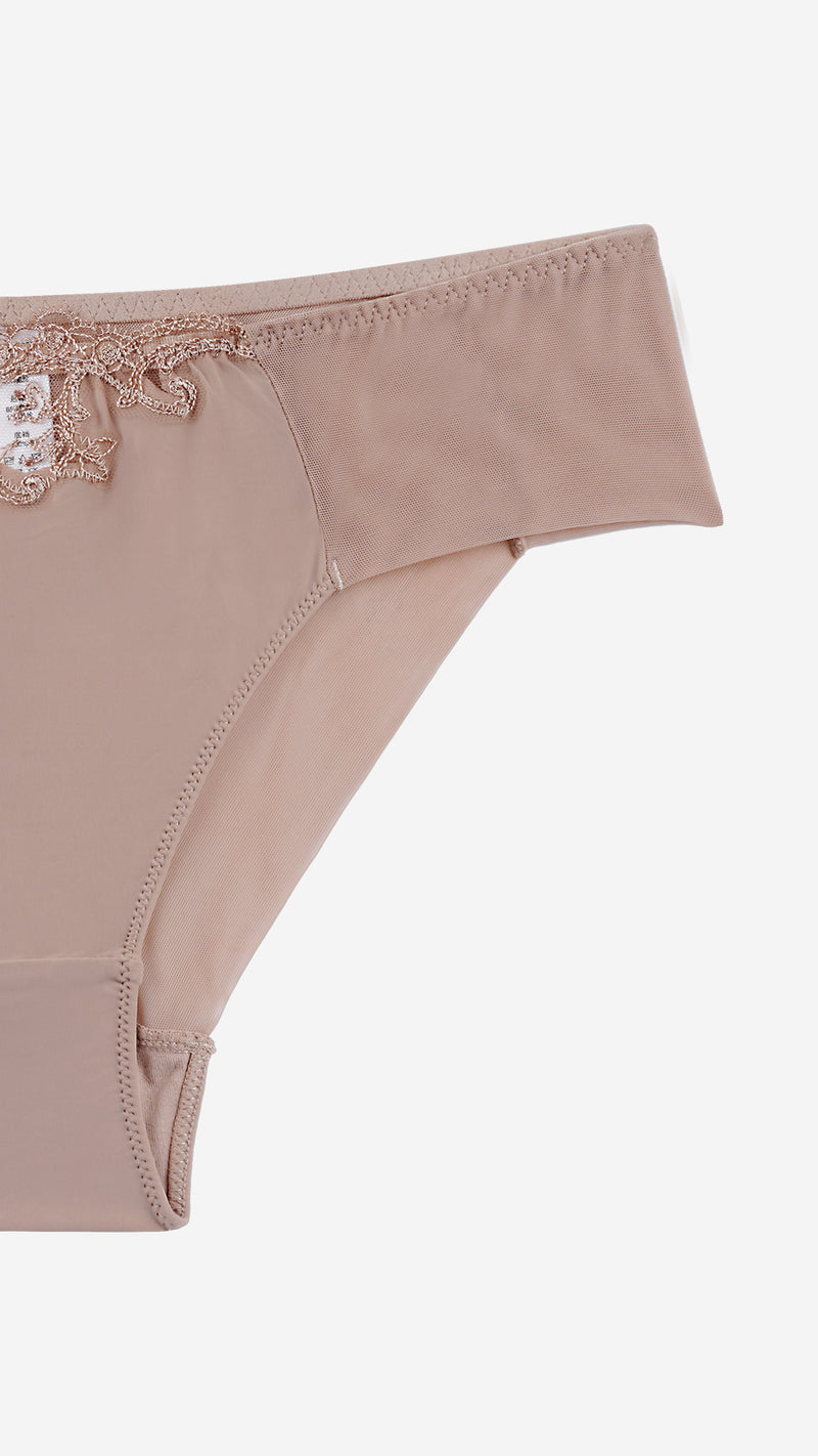 Nude Blush Lace Sheer Panel Classic Brief