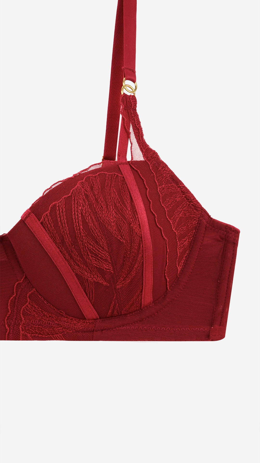 Wine Red Embroidered Lace Push-Up Bra