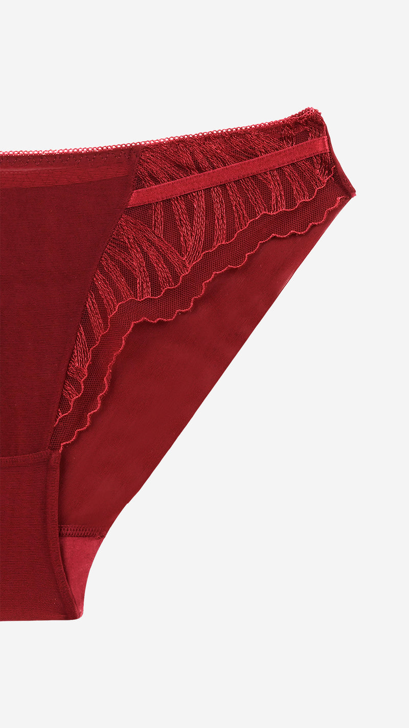 Wine Red Embroidered Lace Bikini Panty