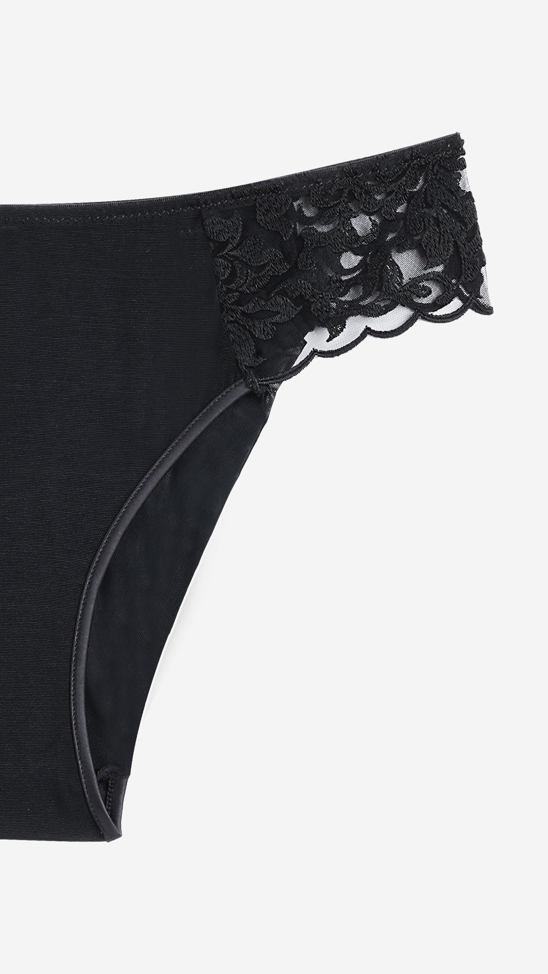 Black Sheer Mesh Bikini Panty with Lace Trim