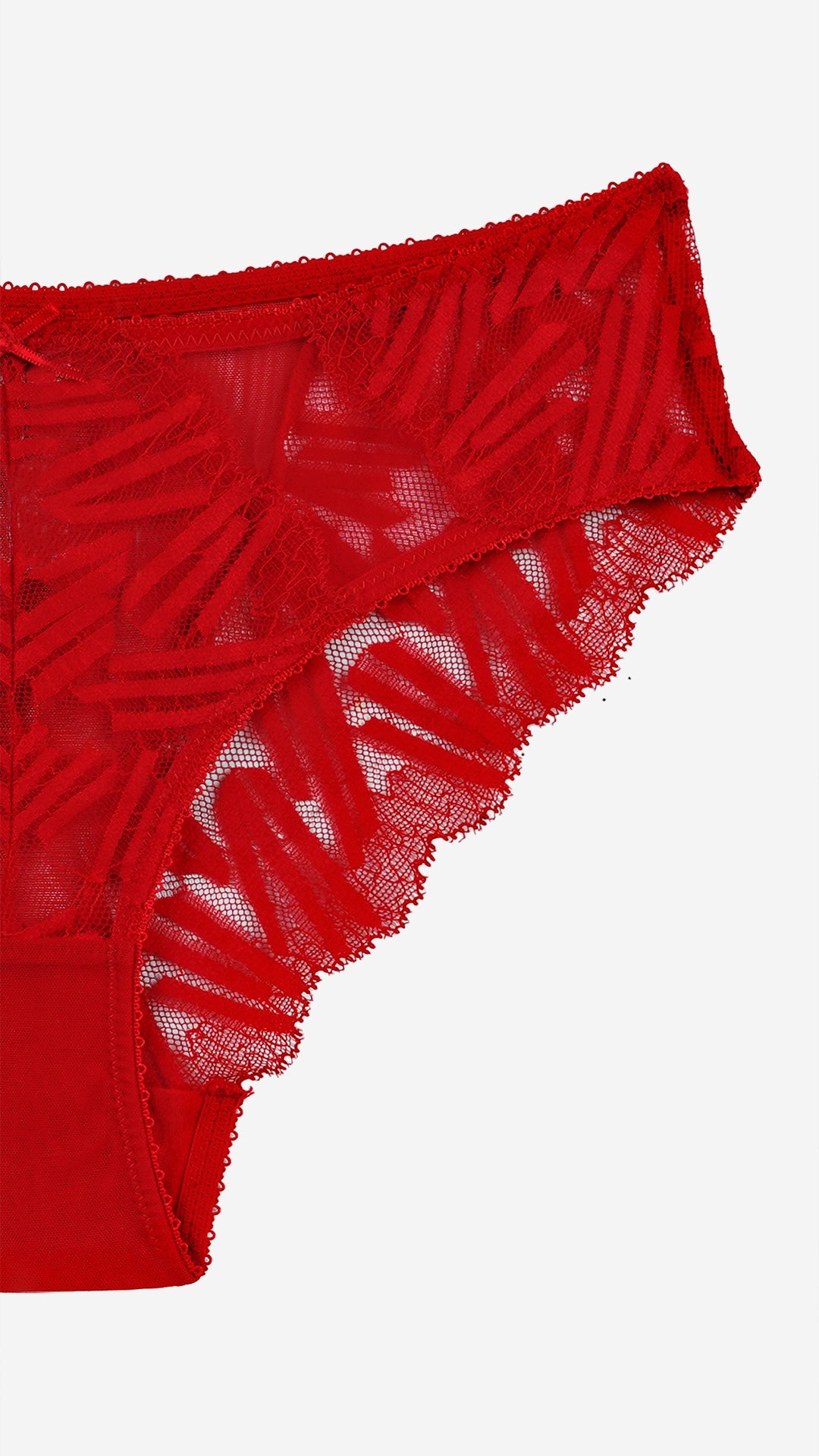Red Sheer Lace Classic Panty