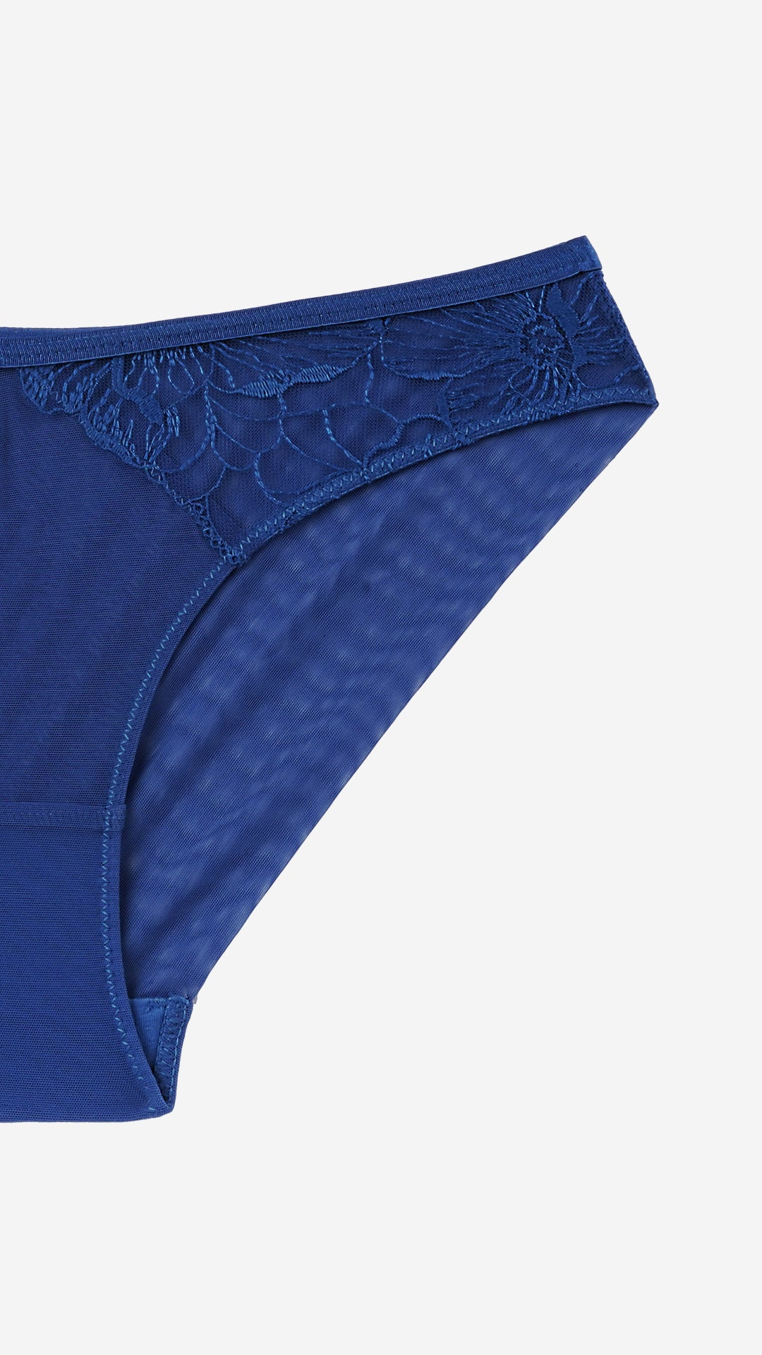 Navy Floral Lace Sheer Bikini Brief