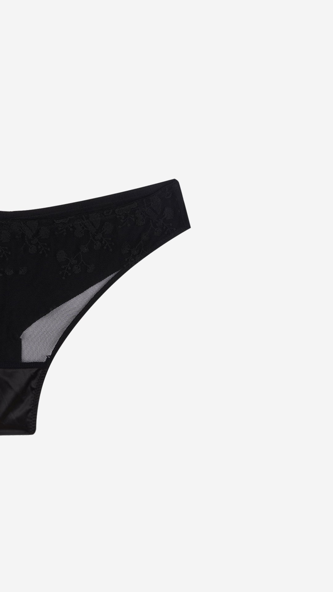 Sheer Net Bikini Panty | Floral Embroidered Mesh Brief