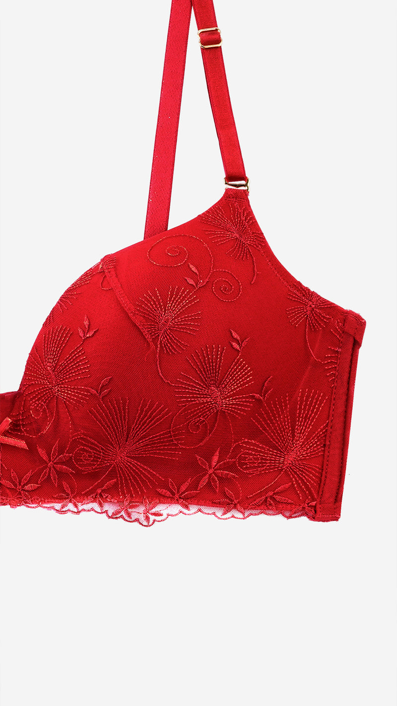 Red Embroidered Plunge Bra