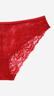 Floral Lace High Coverage Brief | Sheer Net Panty