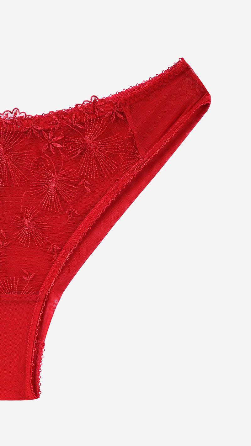 Red Embroidered Lace Bikini Brief