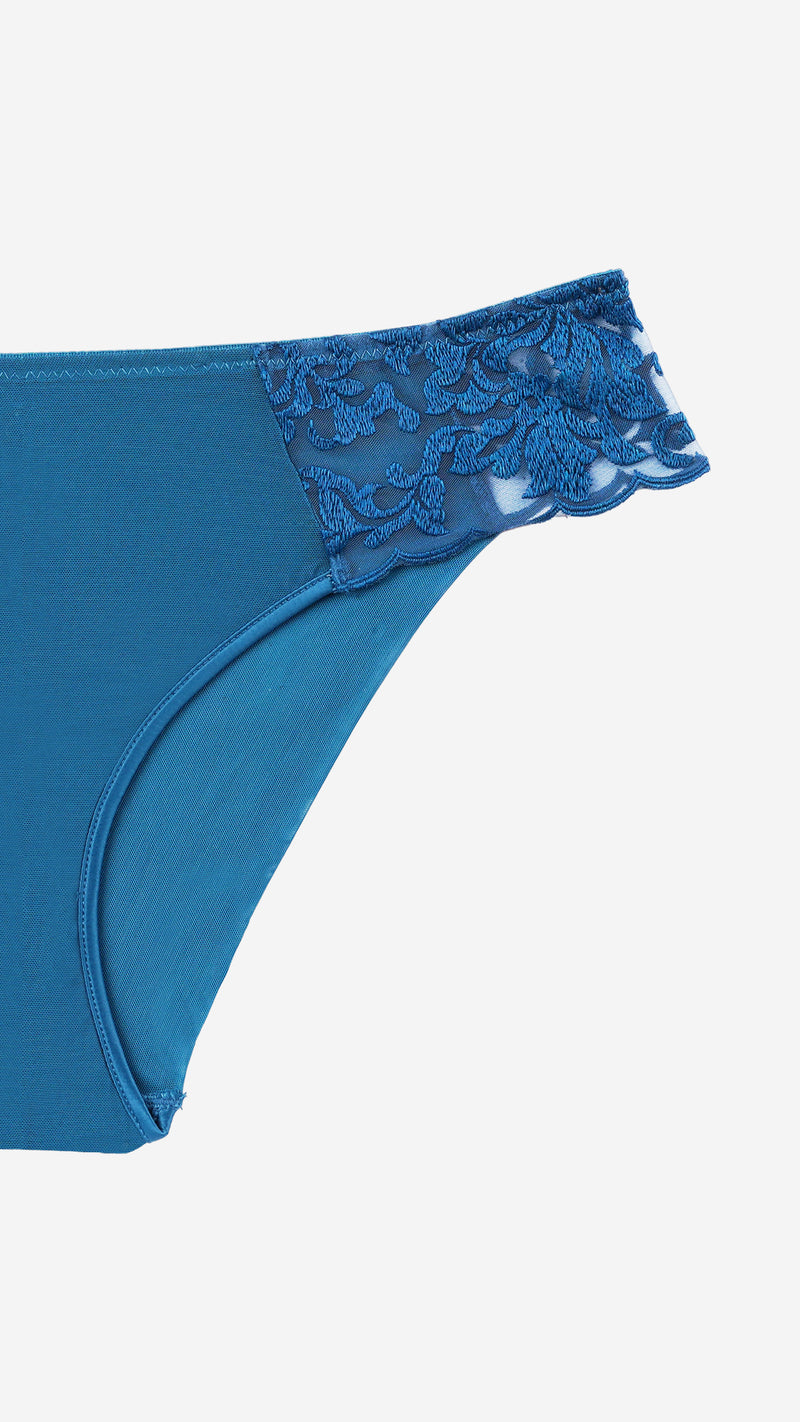 Teal Lace Classic Brief – Sheer Mesh Panty