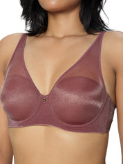 TRIUMPH BRA 123I587-43 Women Sheen Mesh Wired Padded Plunge Bra