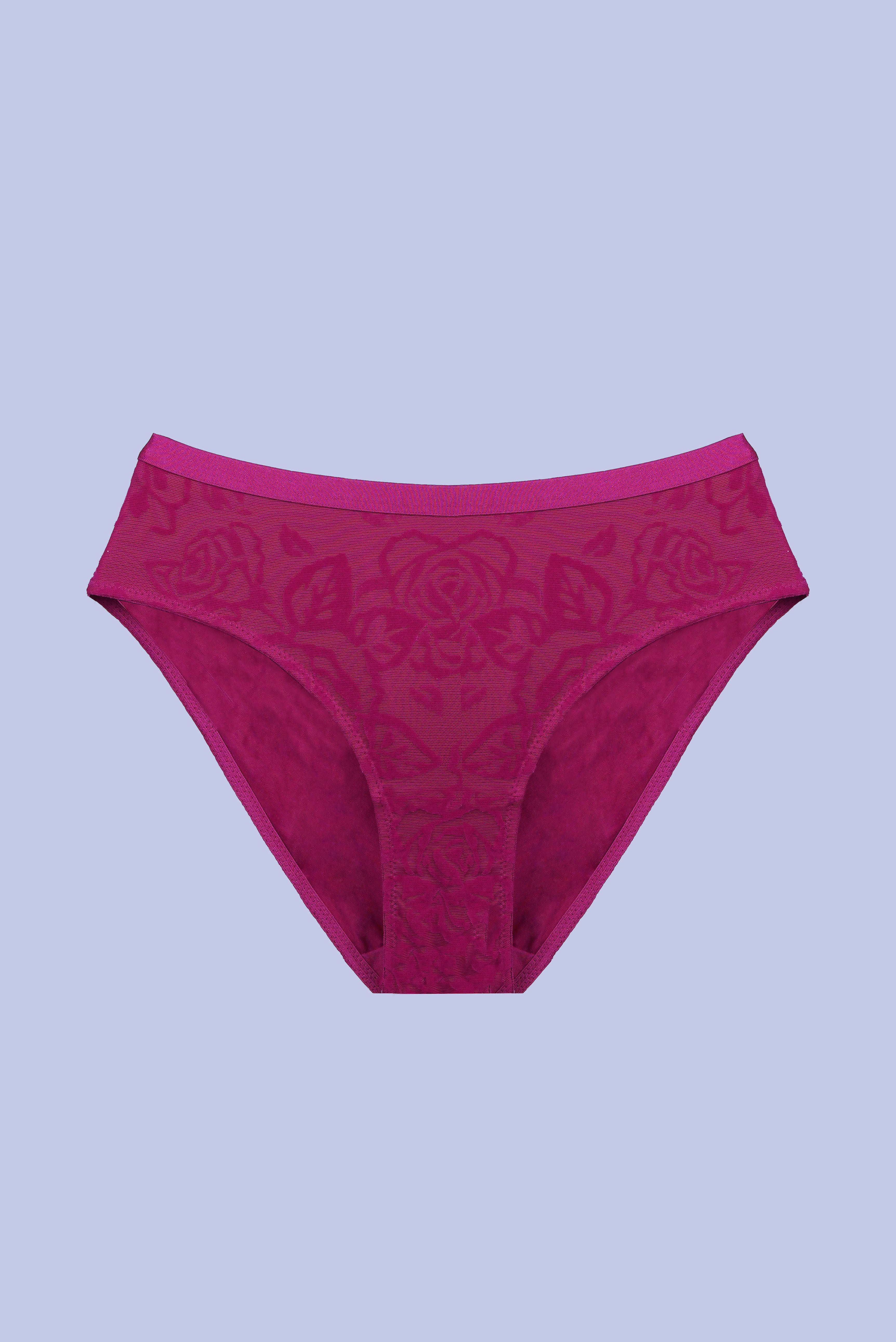 TRIUMPH International Women's Polyamide Classic Solid Briefs 756I500-RX