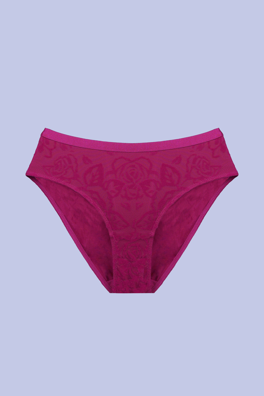 TRIUMPH International Women's Polyamide Classic Solid Briefs 756I500-RX