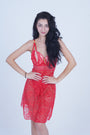 AXTZH 2-Piece Sexy Nightwear for Women with Sheer Lace Design and Elegant Detailing X3009-RED-F1N