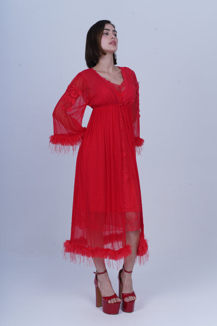 AXTZH Sheer Elegance Two-Piece Nightwear Set for Women X4254-CRIMSON-F11N