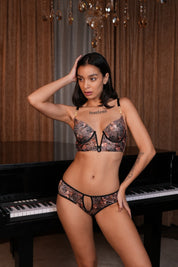 AXTRZH BRA The Confidence Curve Set AB2056-LEOPR1-DP102