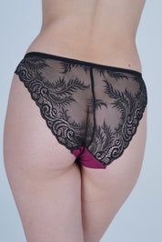 AXTZH Form & Feel Lace Brief XPTYFNETST1329IJ-SCARLET
