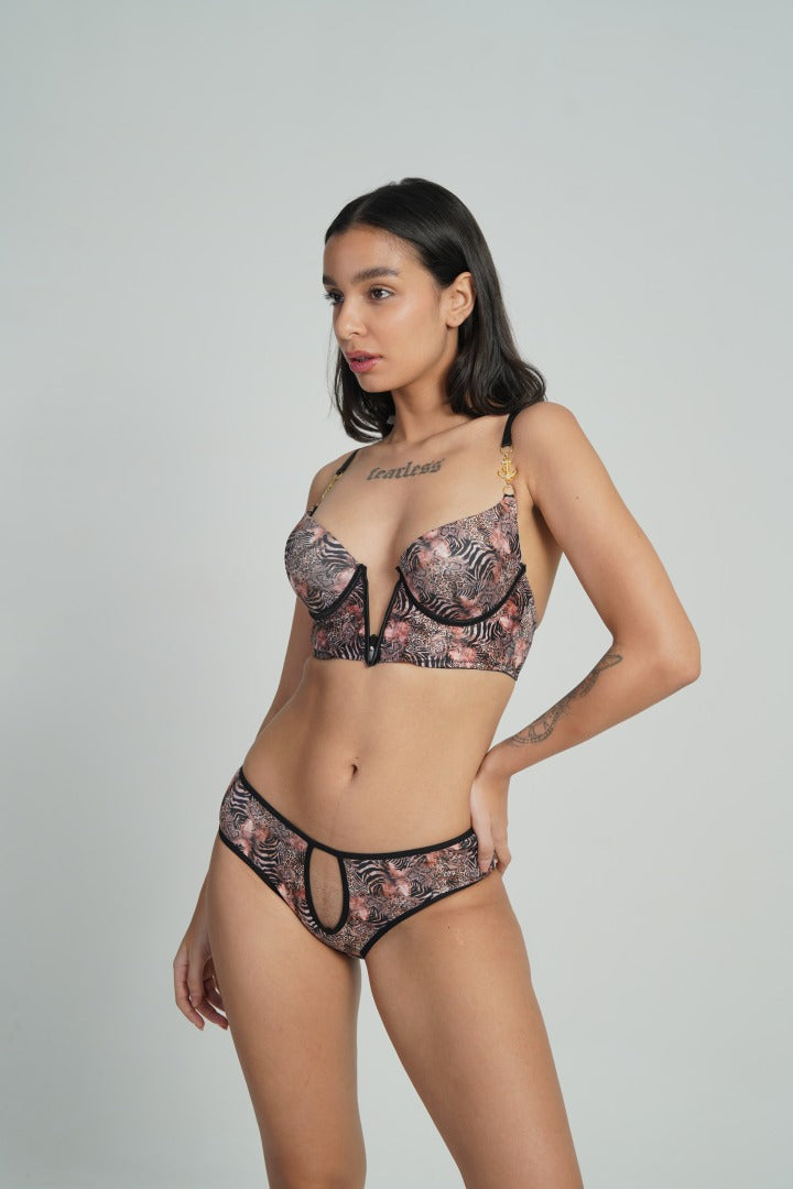 AXTRZH BRA The Confidence Curve Set AB2056-LEOPR1-DP102