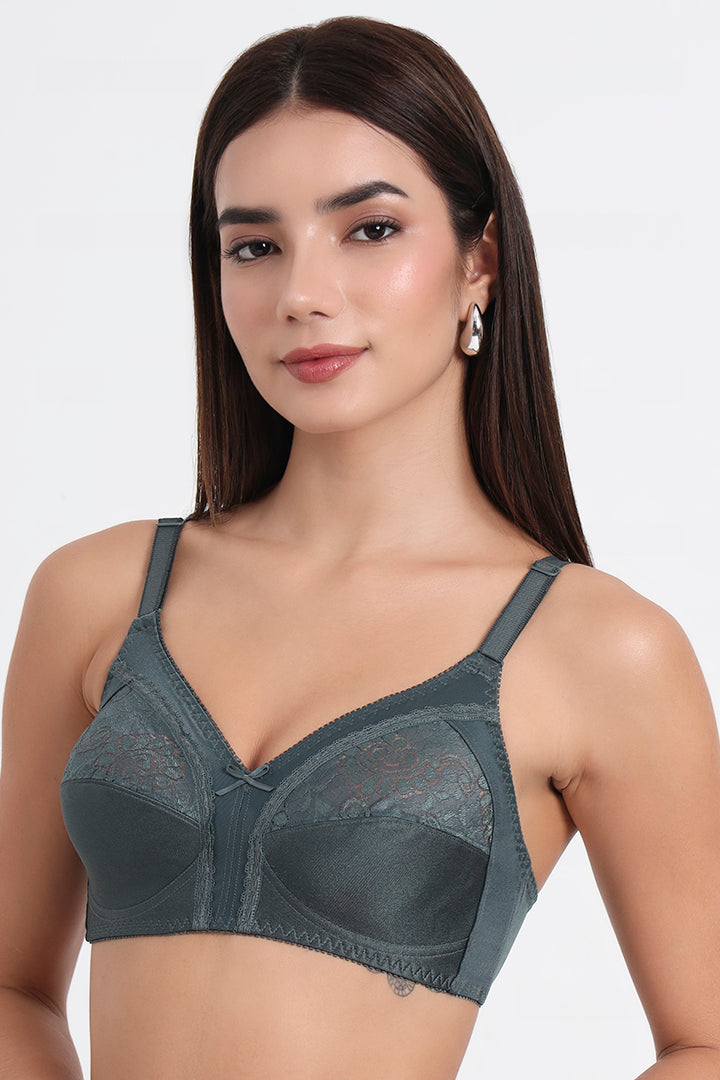 TRIUMPH-202I490 F9 Claudette 103 Wireless Non Padded Full Coverage Support Classics Br