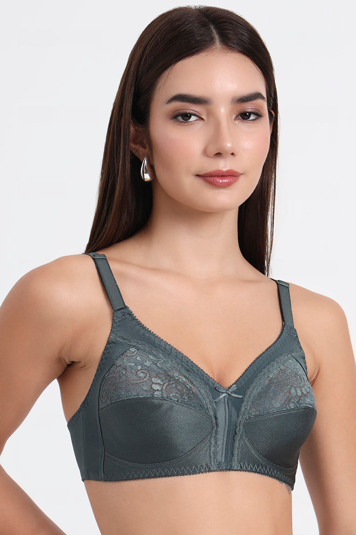 TRIUMPH-202I490 F9 Claudette 103 Wireless Non Padded Full Coverage Support Classics Br