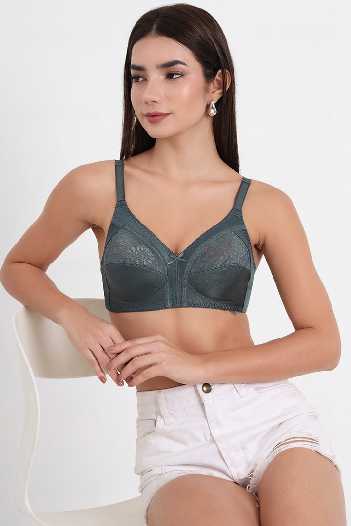 TRIUMPH-202I490 F9 Claudette 103 Wireless Non Padded Full Coverage Support Classics Br