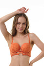 BELLAGIO BRA-BB5341 Orust Lace design Underwired Push Up Lightly Padded Medium Coverage Bra
