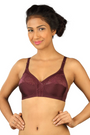 TRIUMPH-202I490  Claudette 103 Wireless Non Padded Full Coverage Support Classics Bra